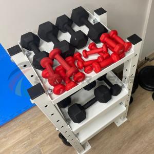 Купить Модульный стеллаж для гантелей, гирь  600х470х1160 в Электрогорске 